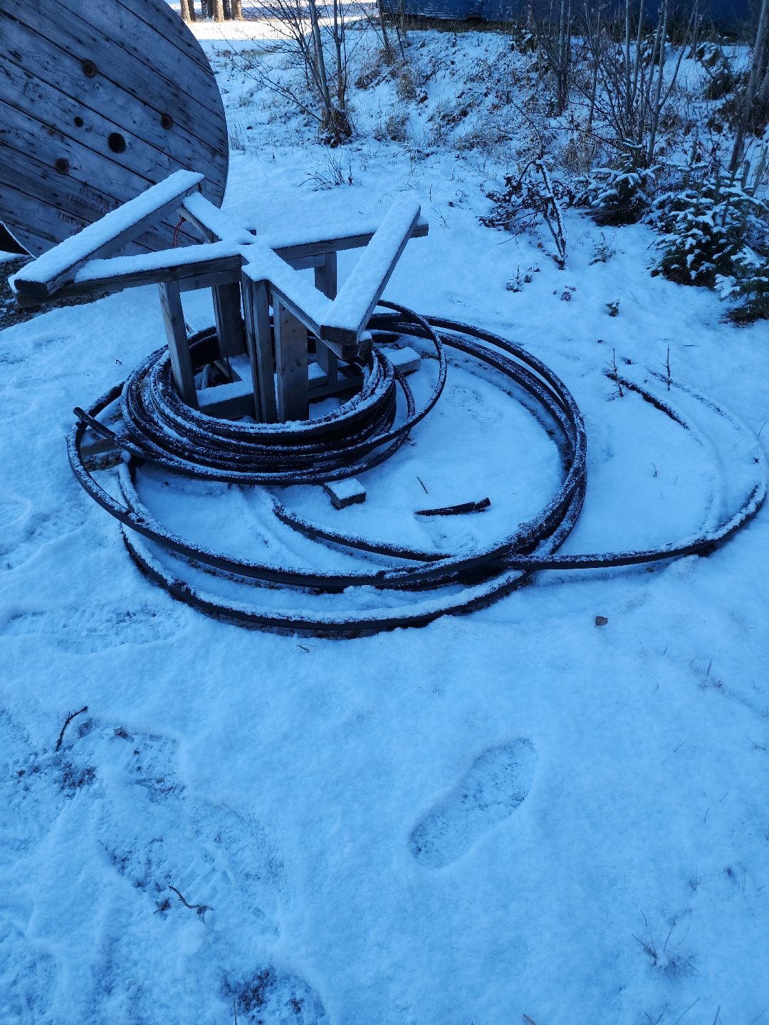 Bred Heifer & Stock Cow Auction